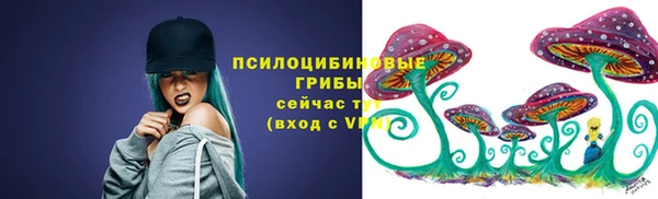 дурь Зеленокумск
