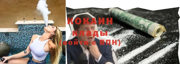 стаф Зерноград
